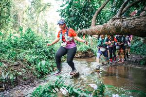 BIB: 
                            <button type="button" onclick="openModal(25517131)" class="btn btn-primary btn-sm float-right btn-popup" data-toggle="modal" data-target=".modal-high-quality">
                        <i class="fas fa-shopping-cart"></i> Add to Cart
                    </button>
                                            <button type="button" onclick="isThisMe(25517131, true)" class="btn btn-success btn-sm float-right btn-popup btn-isme hidden" data-toggle="tooltip" data-placement="bottom" title="นี่คือรูปของคุณใช่ไหม คลิกที่นี่เพื่อเอาเข้าอัลบั้ม">
                        <i class="fas fa-plus"></i> Add to album
                    </button>
                    <button type="button" onclick="isThisMe(25517131, false)" class="btn btn-warning btn-sm float-right btn-popup btn-isnotme hidden">
                        <i class="fas fa-ban"></i> Remove from album
                    </button>